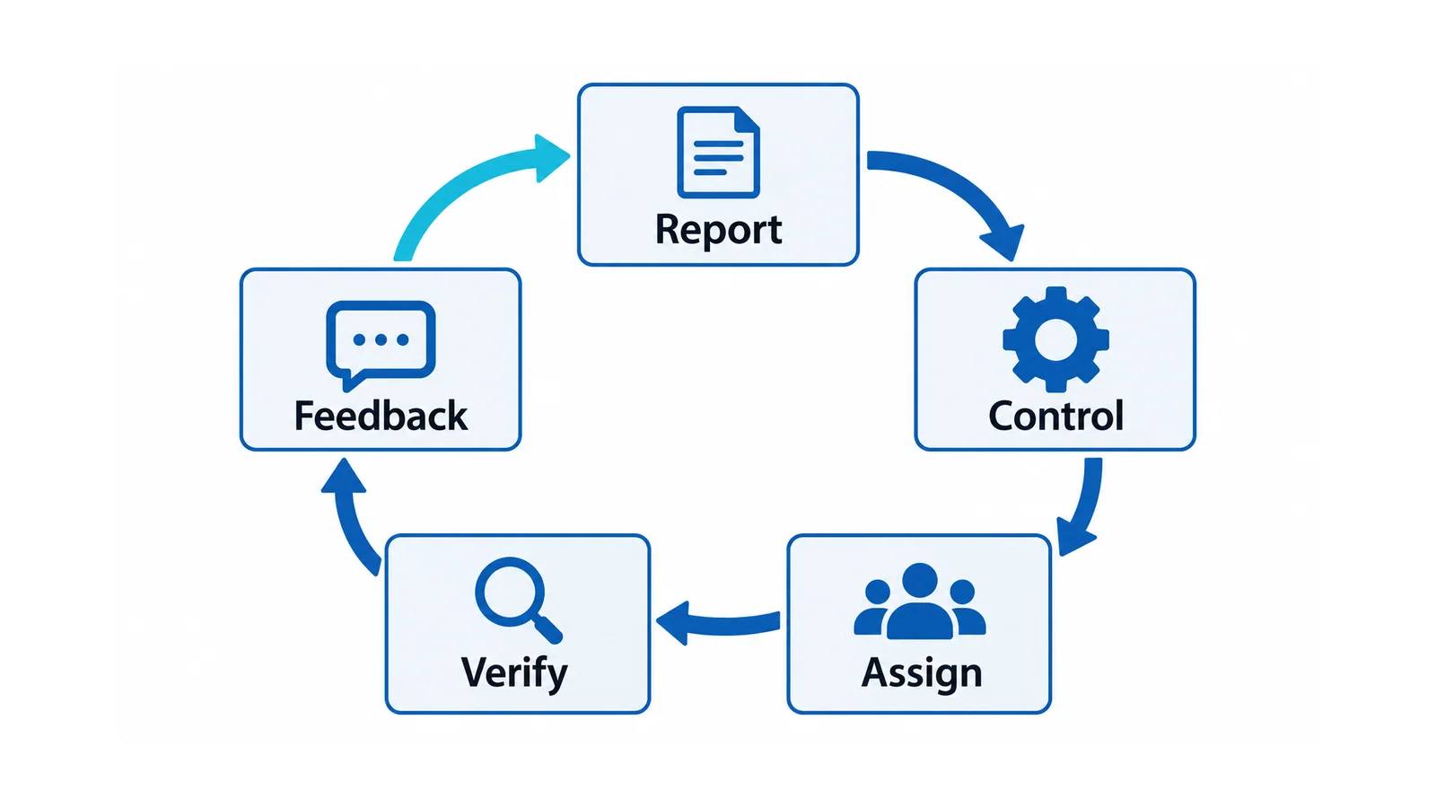 Five-stage safety-program loop: report, control, assign, verify and feedback, with feedback returning to reporting